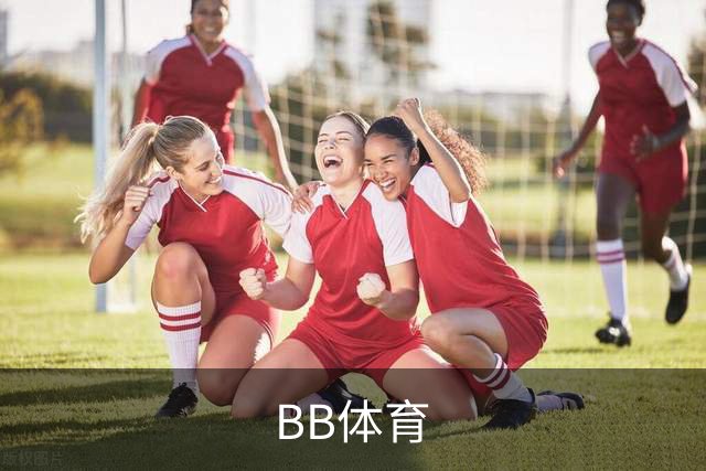 BB体育公司介绍图片
